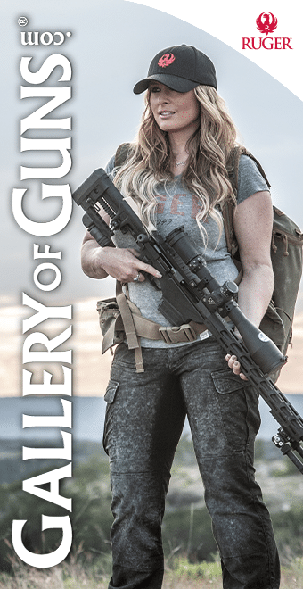 Gallery Of Guns - Ruger Precision - HP