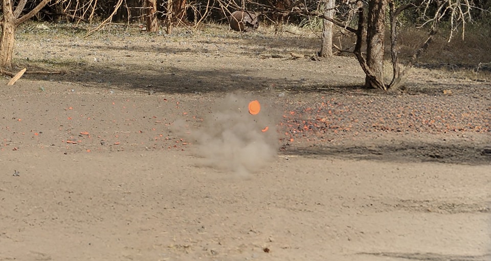 rabbit-shot Breaking Bunnies on the Clay Range