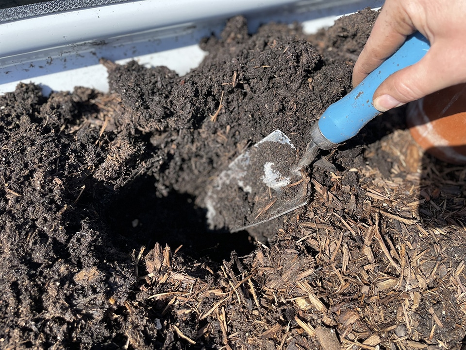 Digging the holes in the elevated bed