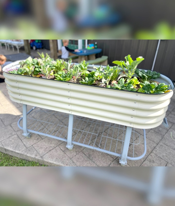 Vego Elevated Raised Bed feature