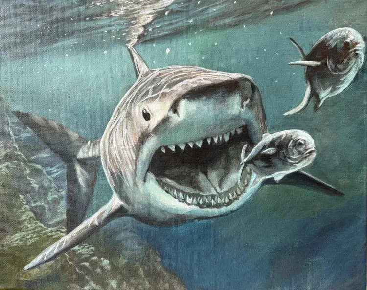 shark award