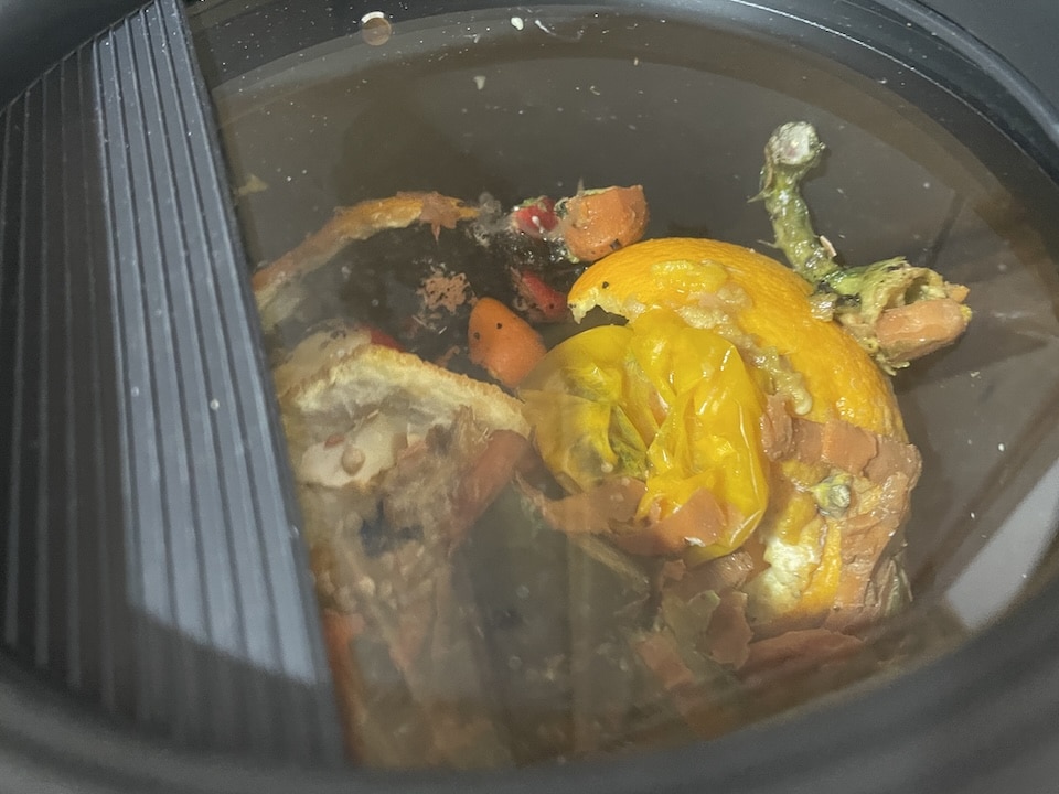 Before - compost materials
