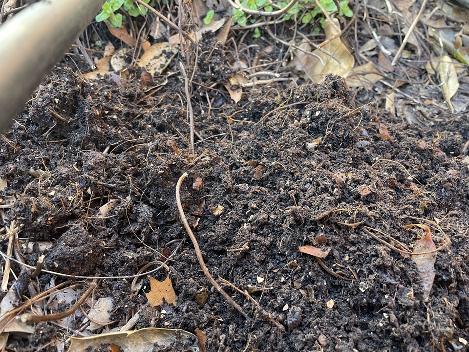 Fertilizer compost in garden