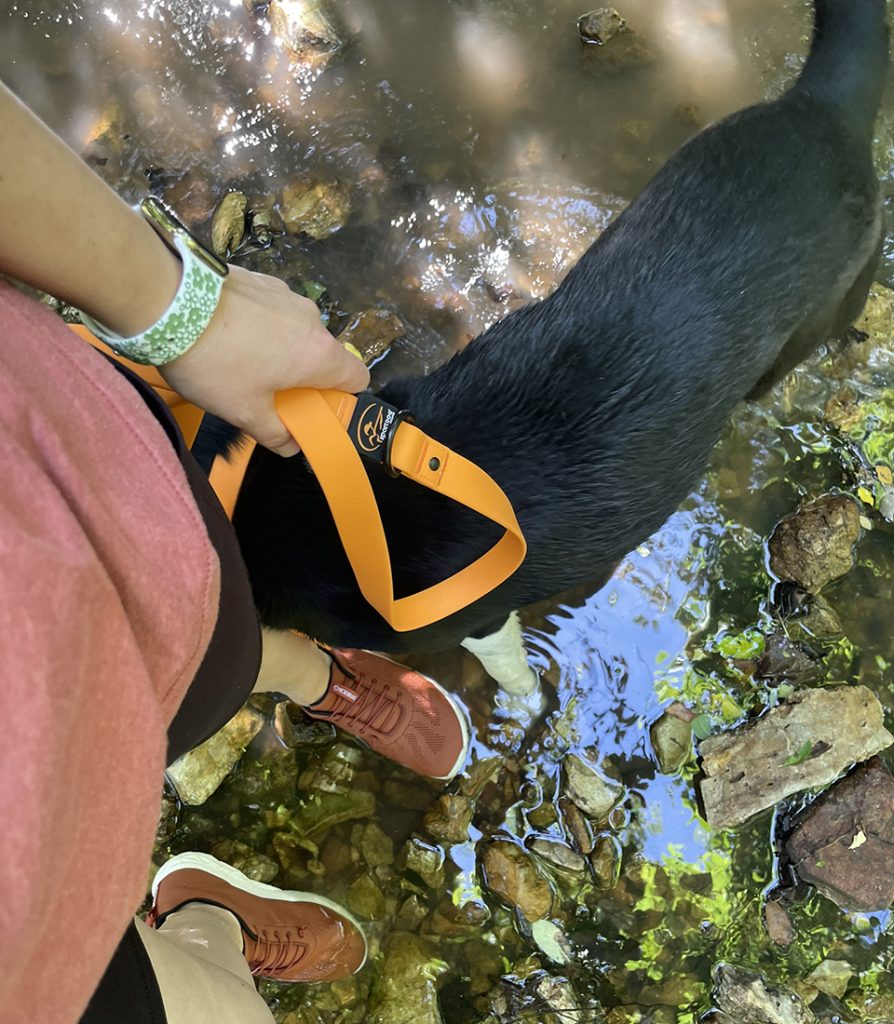 Water adventures with Icebug Eli