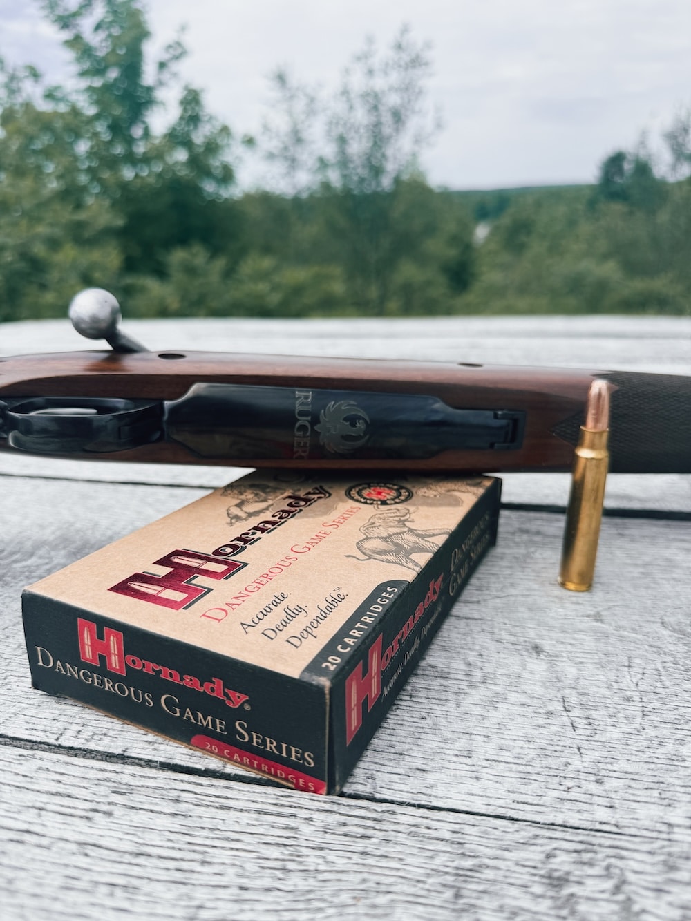Hornady ammo and 375 Ruger AFrican
