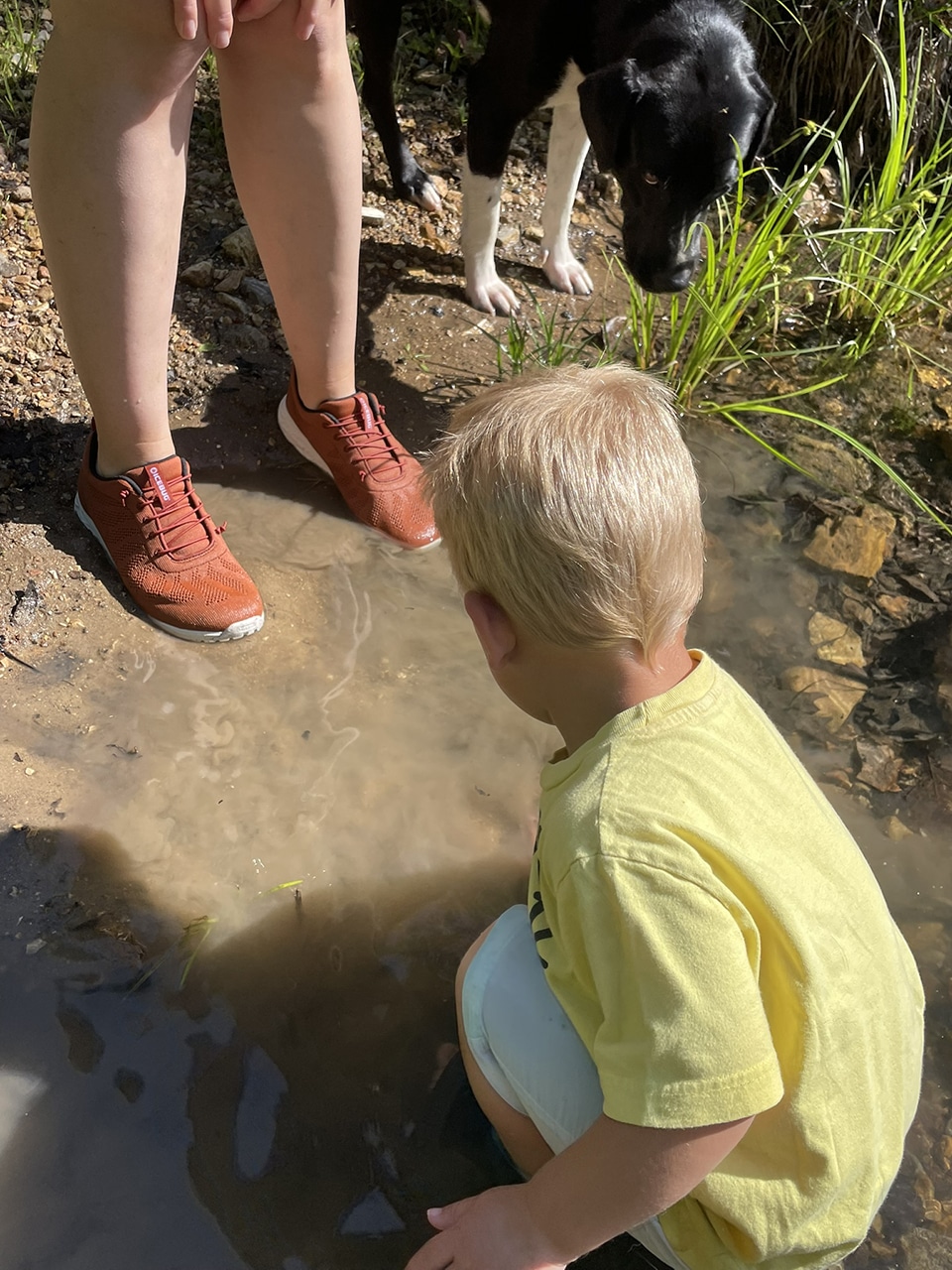 In the creek