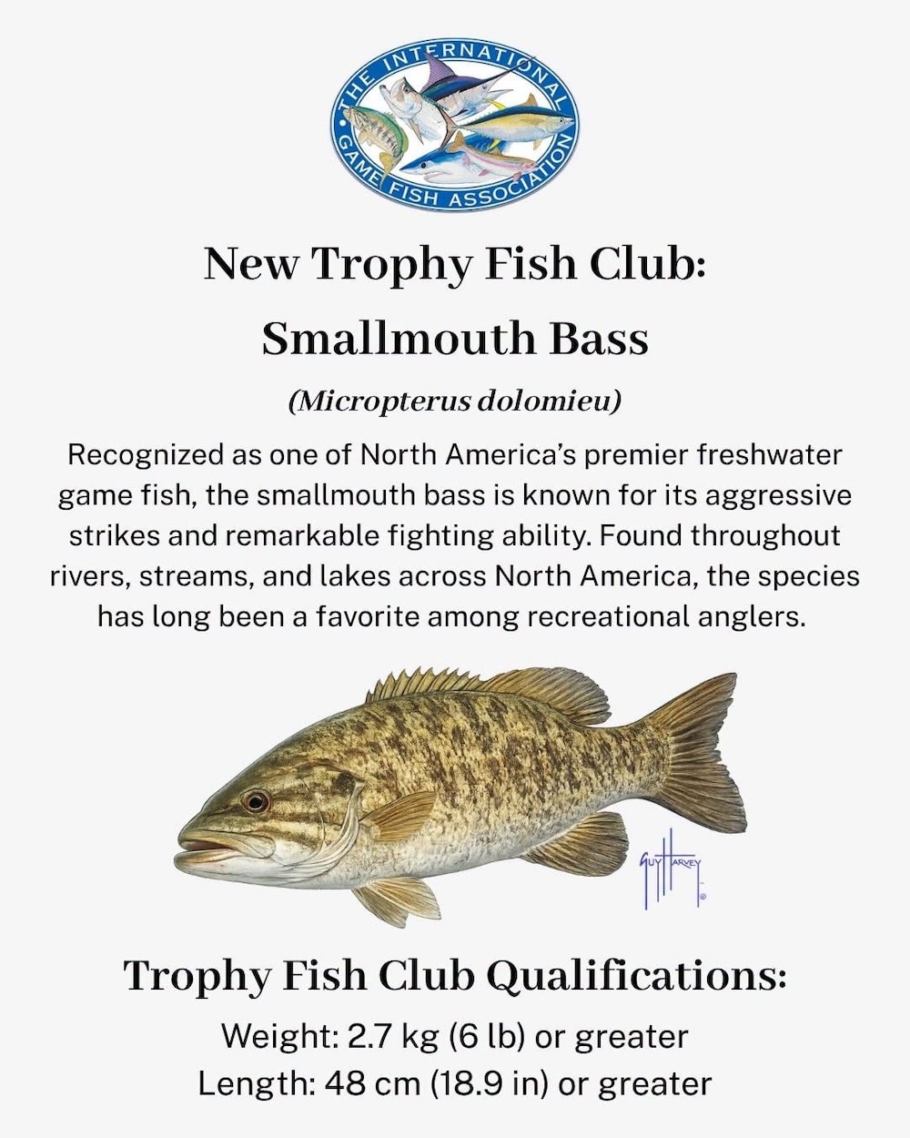 New Trophy Fish Club: Smallmouth Bass
