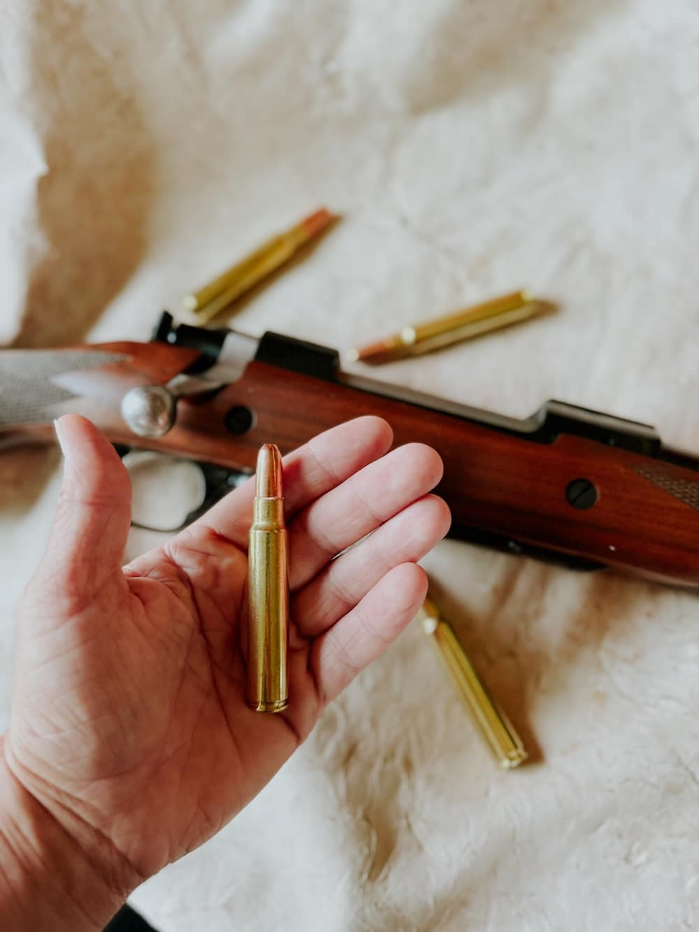 Scale image of 375 Ruger Hornady DGX ammunition
