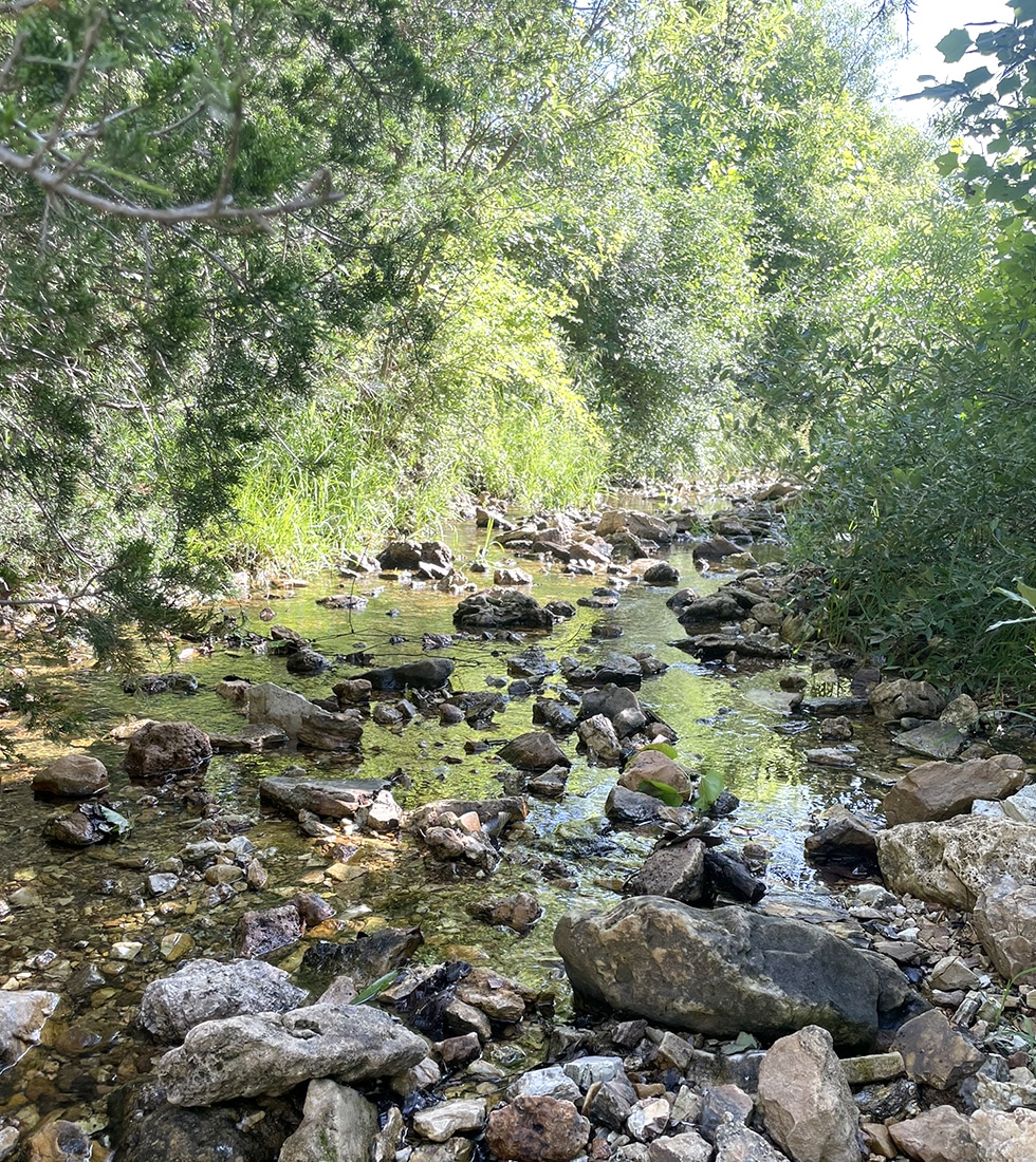 The creek