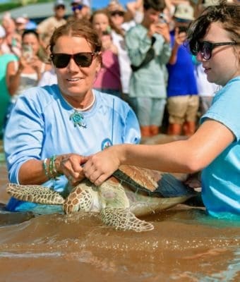 girl power turtle feature