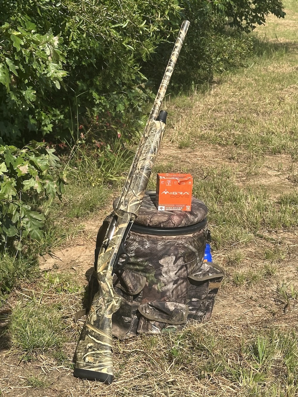 Syren ammo hunting stool dove Season Opener Doves and Geese feature