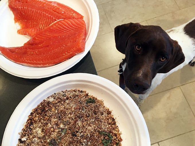 pecan crusted salmon filet