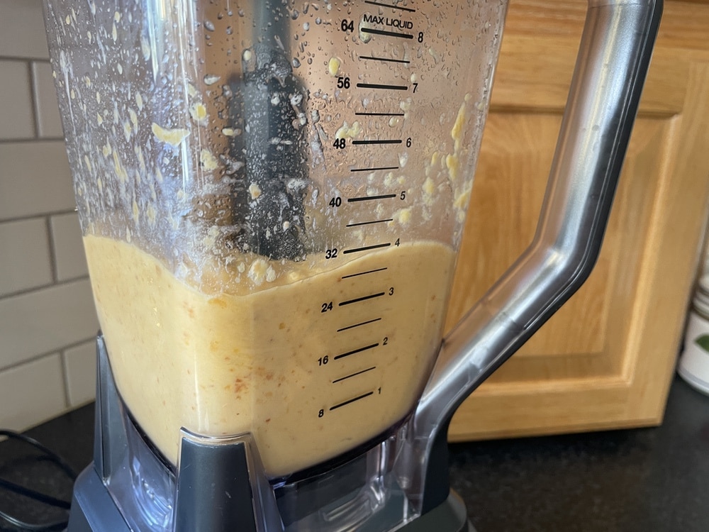 pawpaw in blender with bread mix