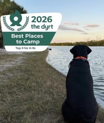 Camp with Dogs feature