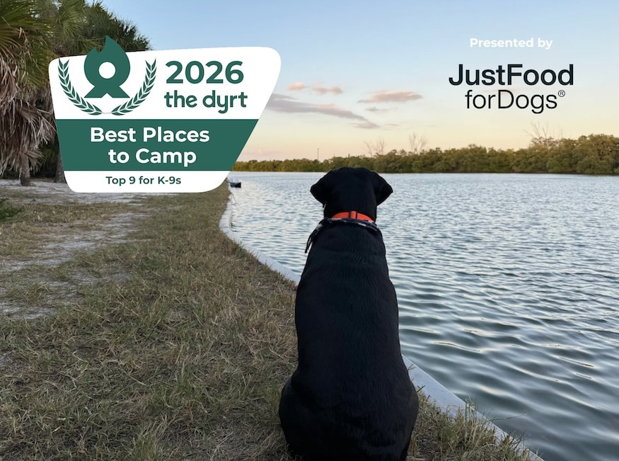 camping with dogs