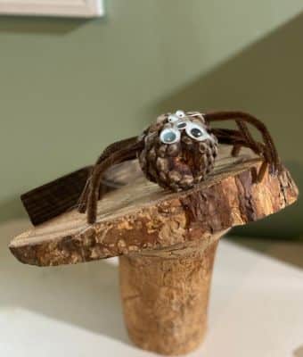 Feature Pinecone Spider